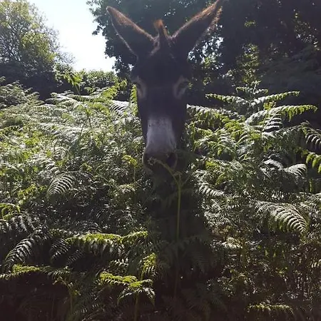 Domaine De La Boderie Casa vacanze Sainte-Honorine-la-Chardonne