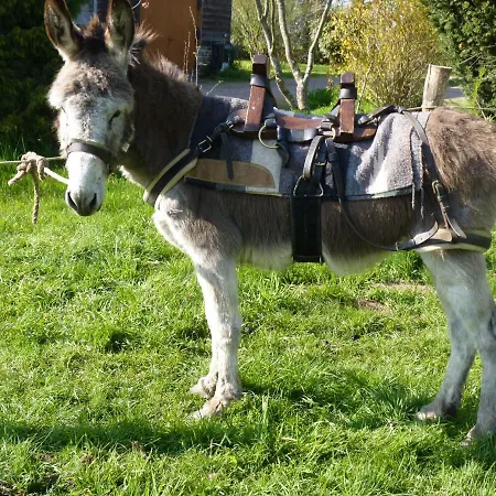 Domaine De La Boderie Casa vacanze