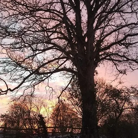 Domaine De La Boderie * Sainte-Honorine-la-Chardonne