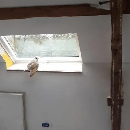 Domaine De La Boderie *