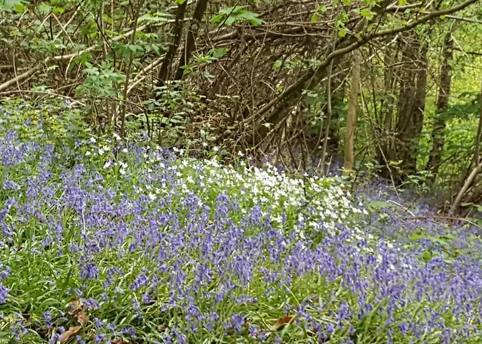 Domaine De La Boderie