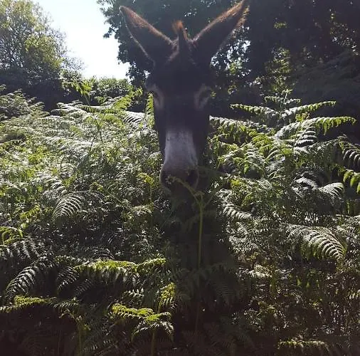 Domaine De La Boderie Ferienhaus Sainte-Honorine-la-Chardonne