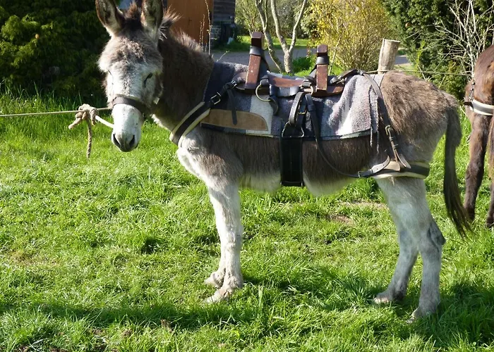 Domaine De La Boderie Ferienhaus