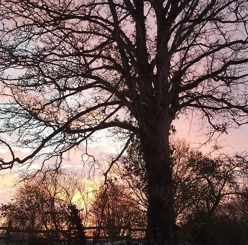Domaine De La Boderie * Sainte-Honorine-la-Chardonne