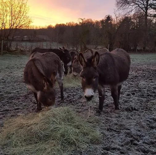 Ferienhaus Domaine De La Boderie *