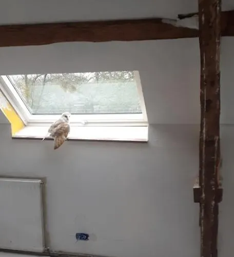 Domaine De La Boderie *